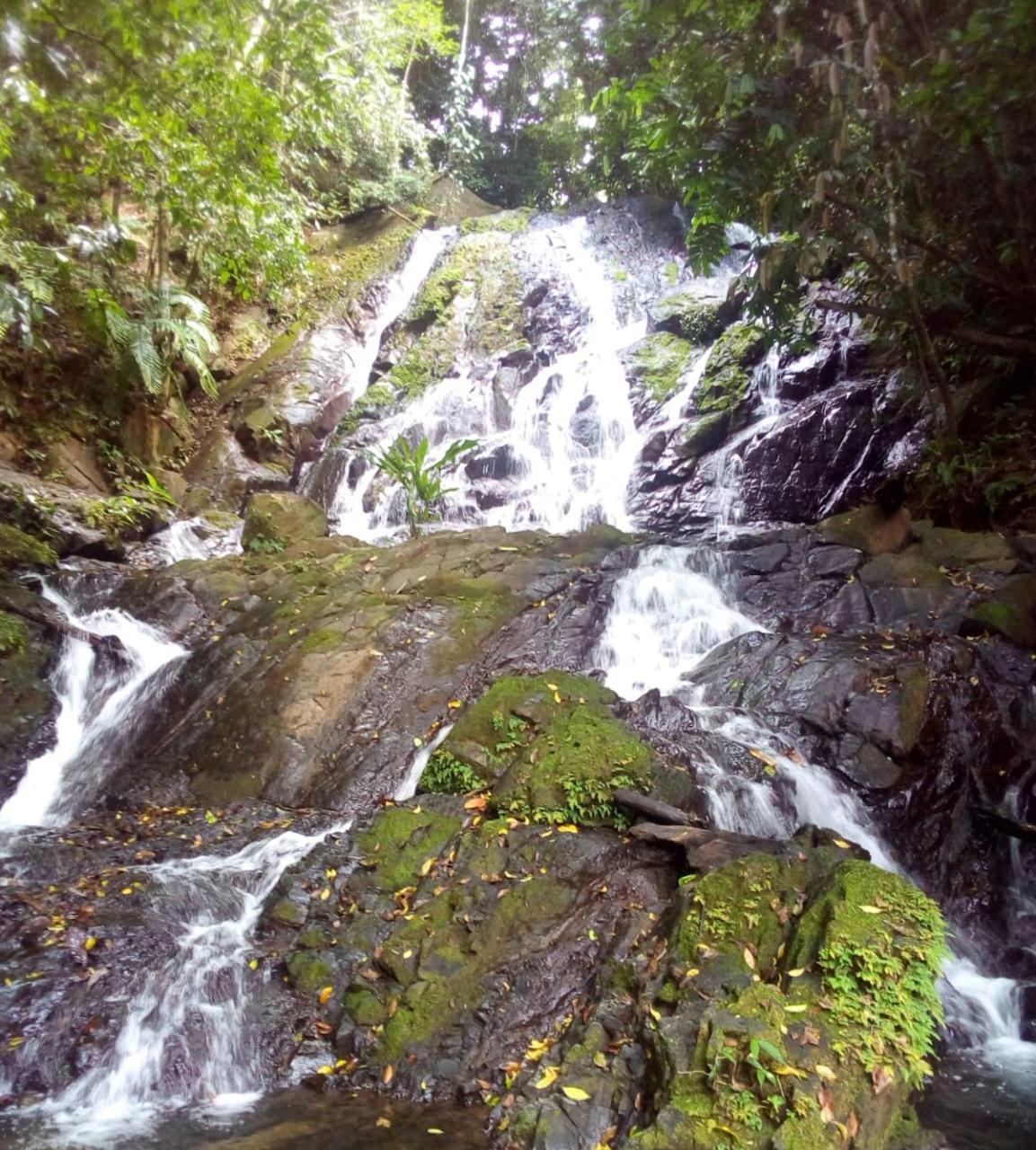 Finca La Puesta Del Sol - Miramar De Sierpe Buitenkant foto