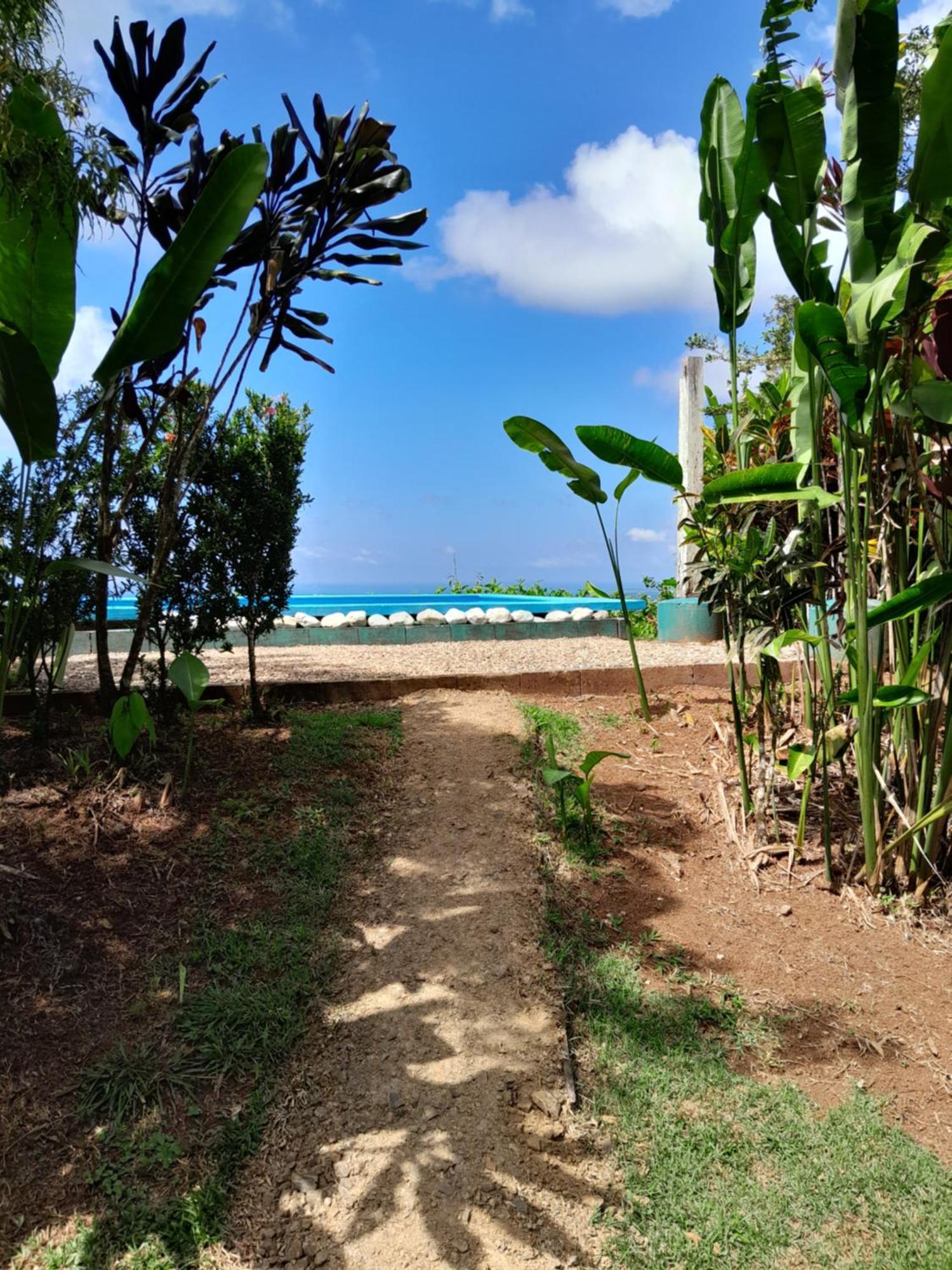 Finca La Puesta Del Sol - Miramar De Sierpe Kamer foto