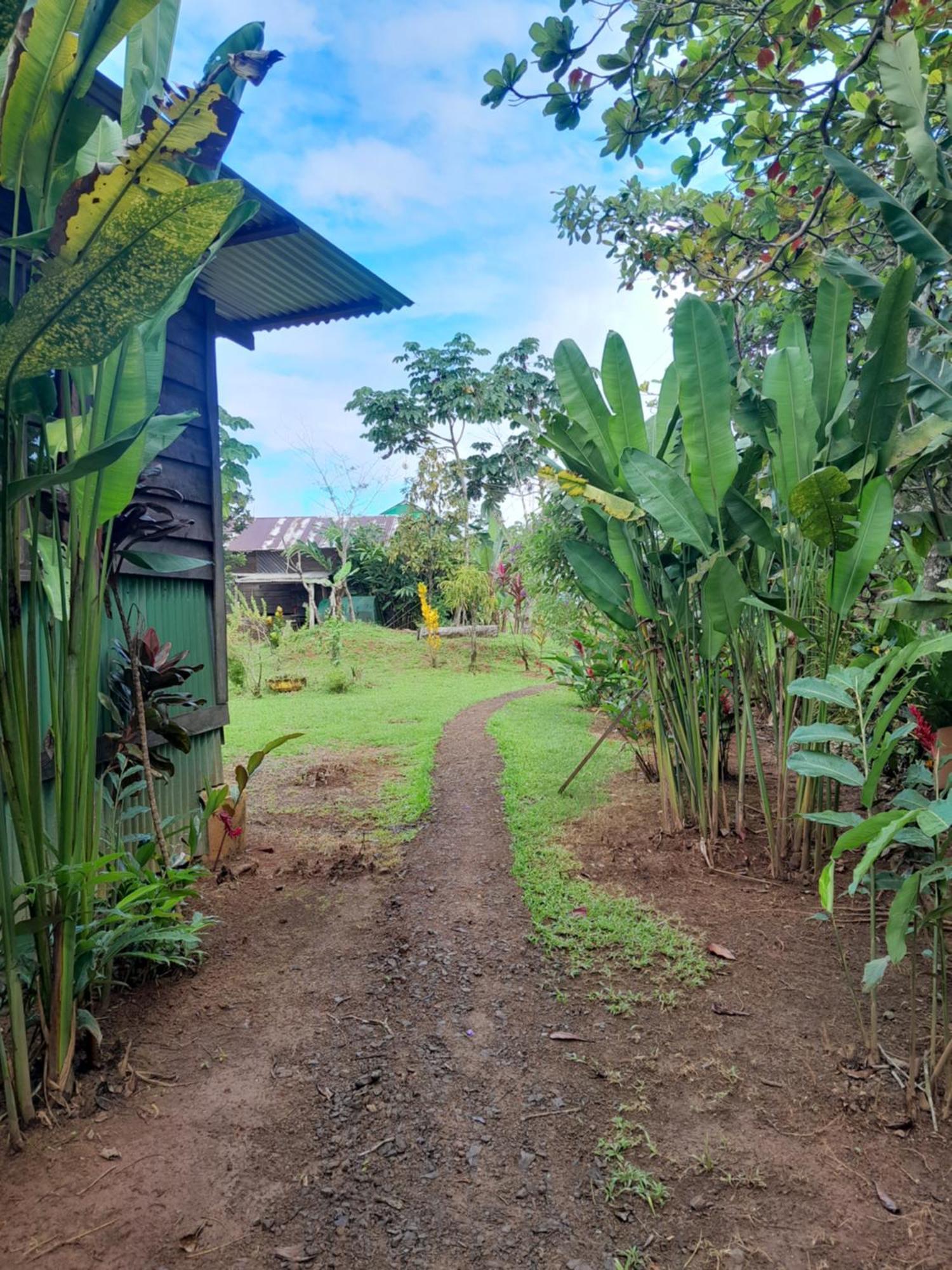 Finca La Puesta Del Sol - Miramar De Sierpe Kamer foto