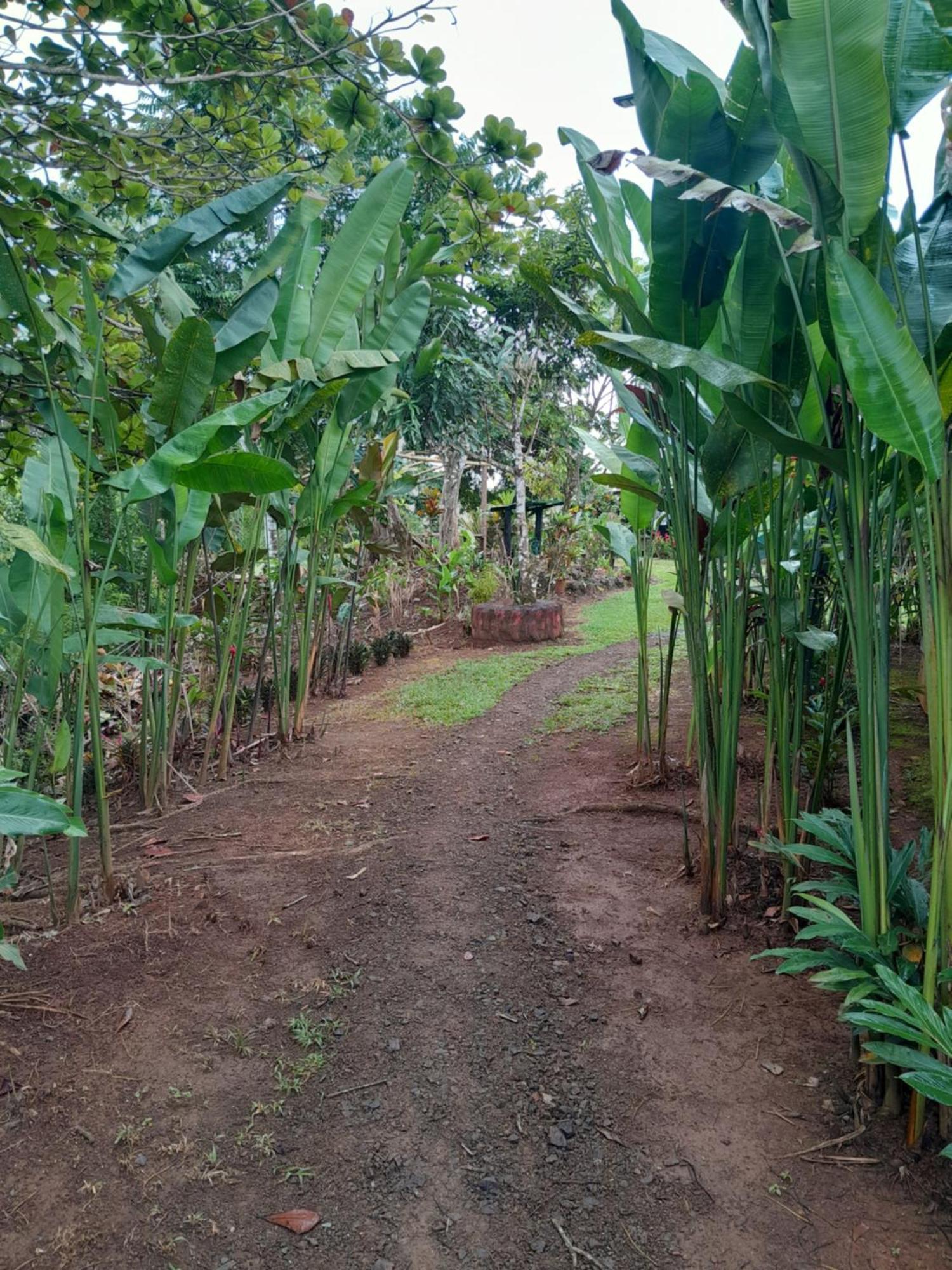 Finca La Puesta Del Sol - Miramar De Sierpe Kamer foto