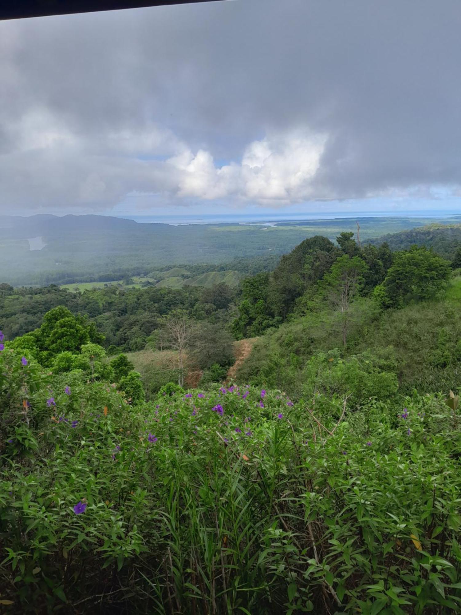 Finca La Puesta Del Sol - Miramar De Sierpe Kamer foto