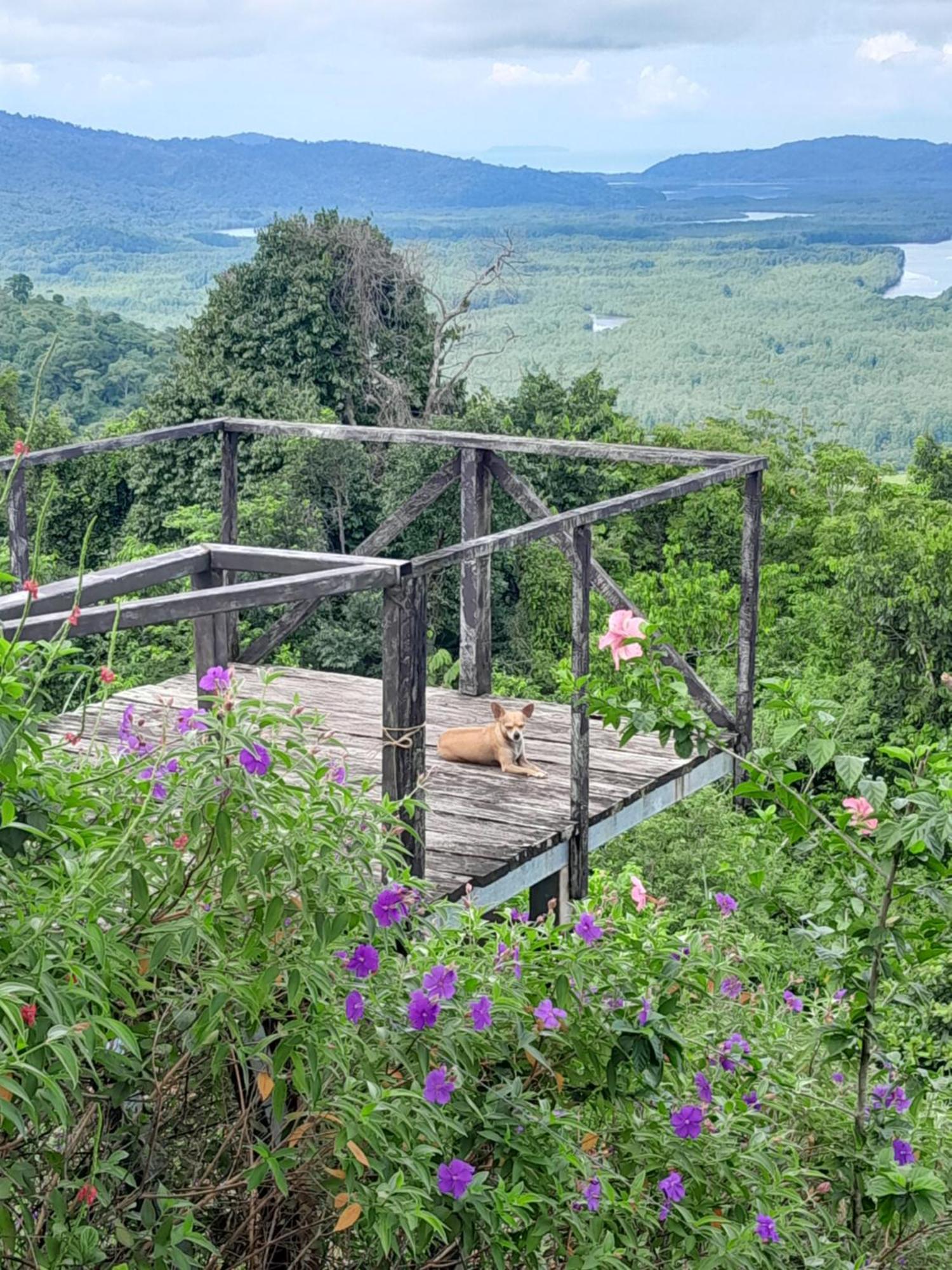 Finca La Puesta Del Sol - Miramar De Sierpe Kamer foto