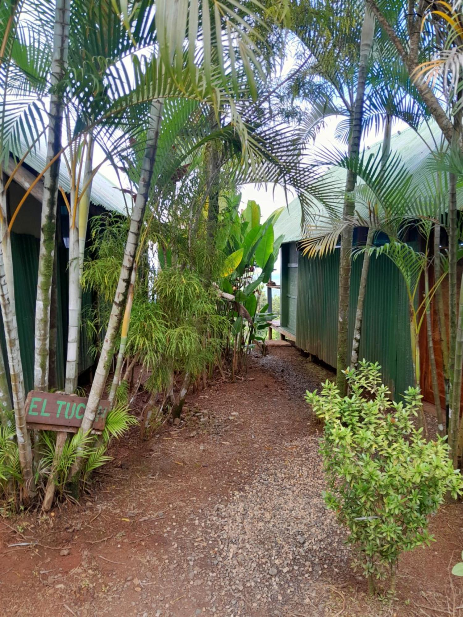 Finca La Puesta Del Sol - Miramar De Sierpe Kamer foto