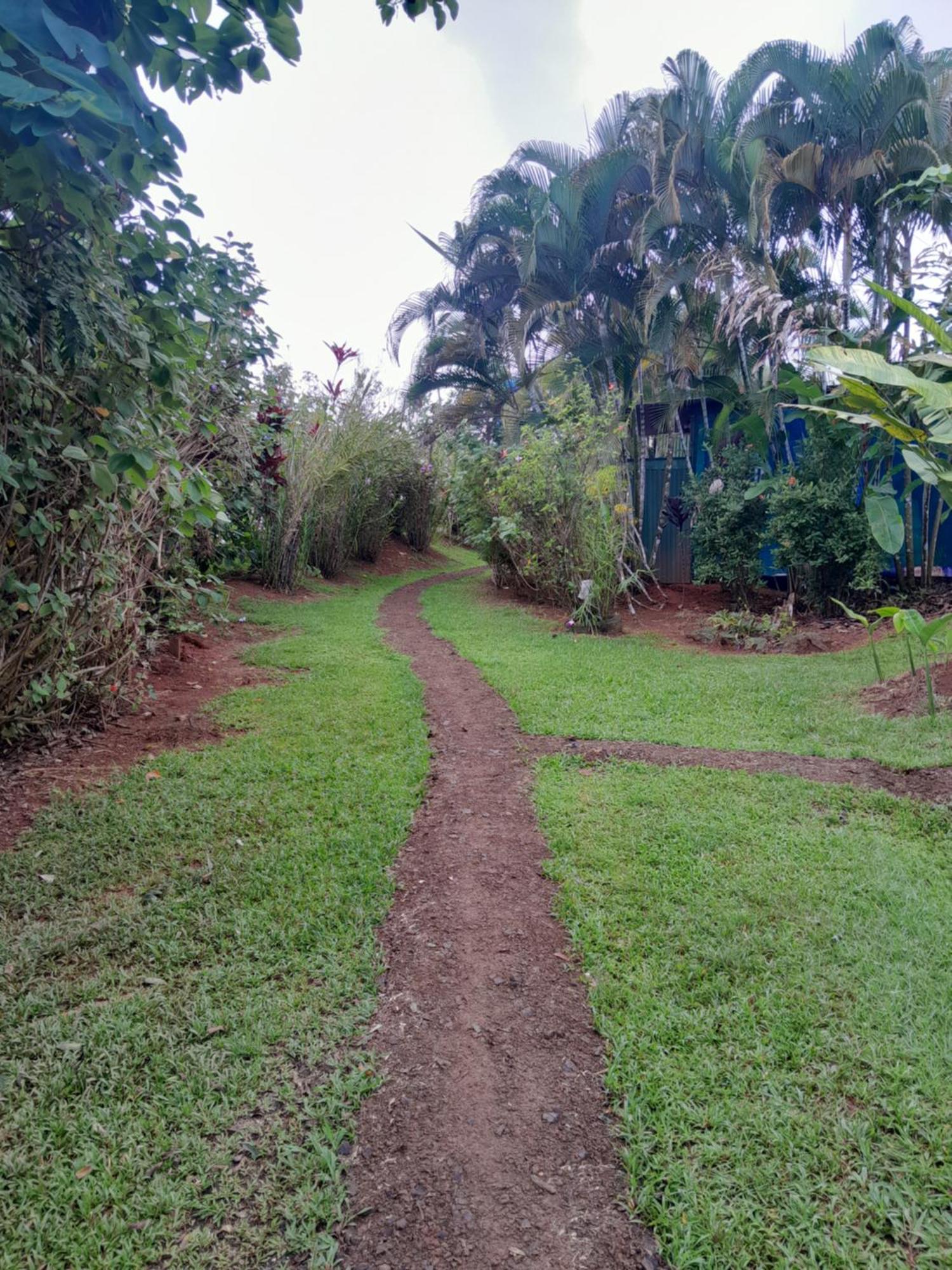 Finca La Puesta Del Sol - Miramar De Sierpe Kamer foto