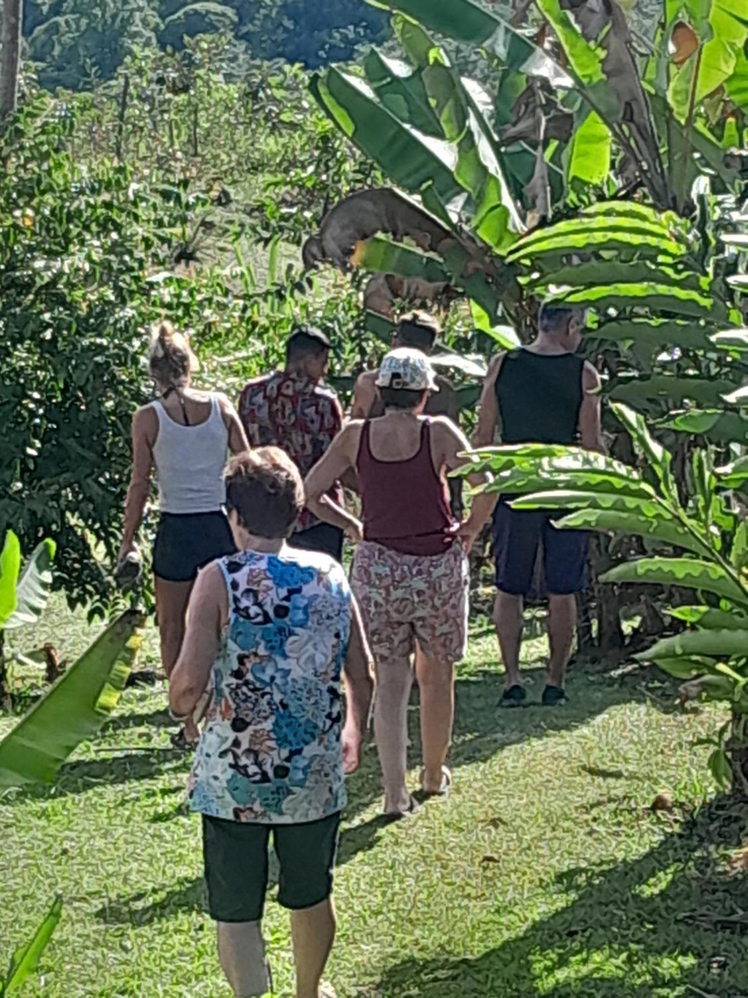 Finca La Puesta Del Sol - Miramar De Sierpe Buitenkant foto